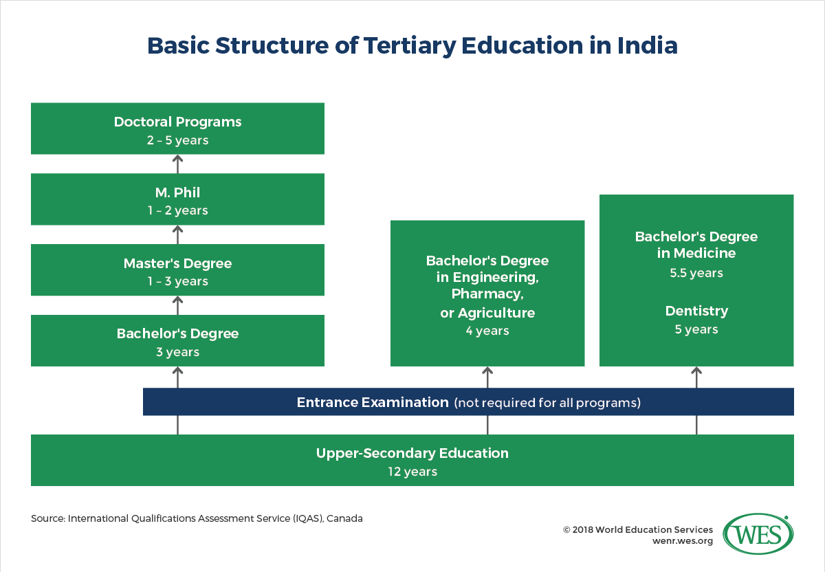 An infographic showing the basic structure of tertiary education in India.